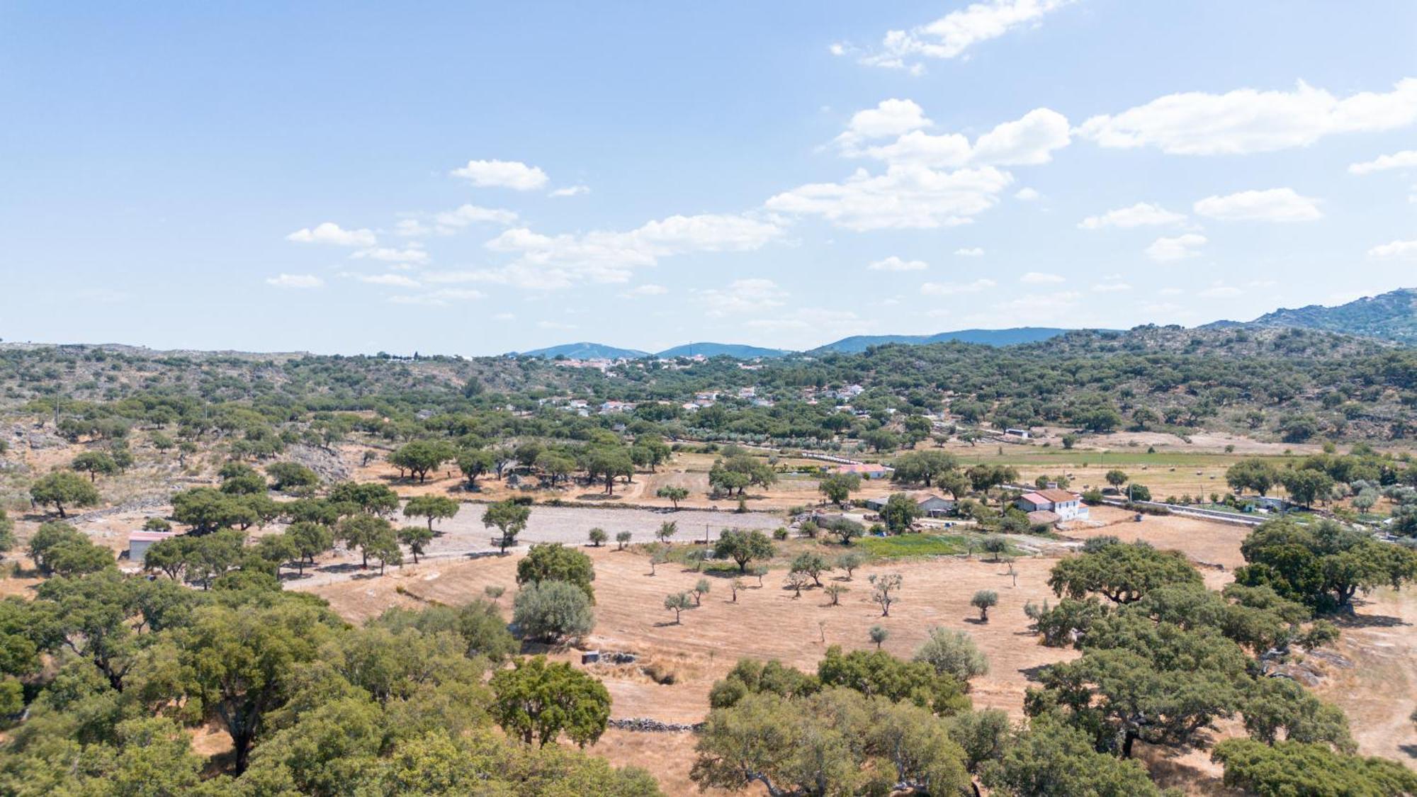Casas De Marvao - Casa Do Ribeiro Villa Eksteriør bilde